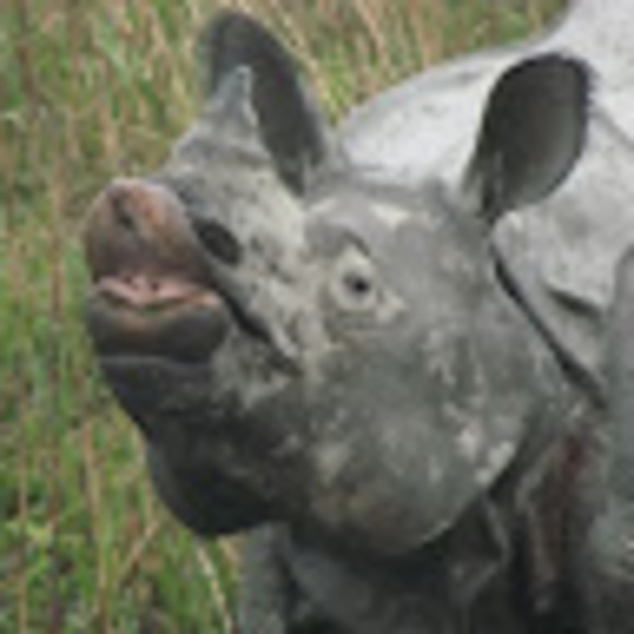 Meet your Posher, Dylan - Picture 1 of 1